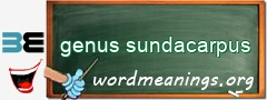 WordMeaning blackboard for genus sundacarpus